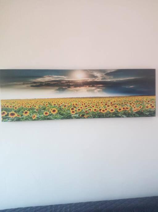 Appartamento Il Girasole Cagliari Esterno foto